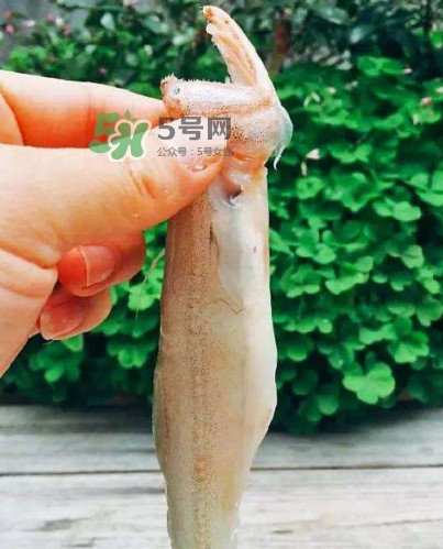 水潺怎么讀？水潺是海鮮嗎