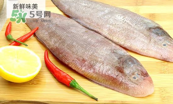 龍利魚怎么挑選？龍利魚與越南巴沙魚的區(qū)別