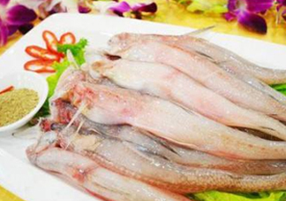 龍頭魚(yú)孕婦可以吃嗎？孕婦能吃龍頭魚(yú)嗎