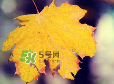 立秋后吃什么好？立秋后怎么養(yǎng)生？