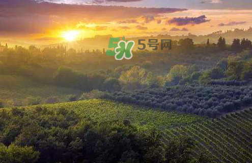 立秋后吃什么好？立秋后怎么養(yǎng)生？