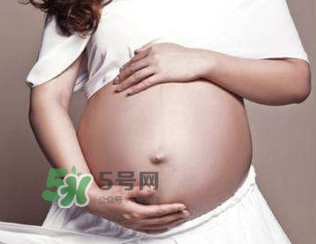 四維彩超的最佳時間 四維彩超什么時候做最好？