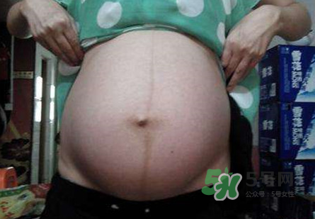 懷女孩肚子上會長毛嗎？懷女孩肚子特征圖片
