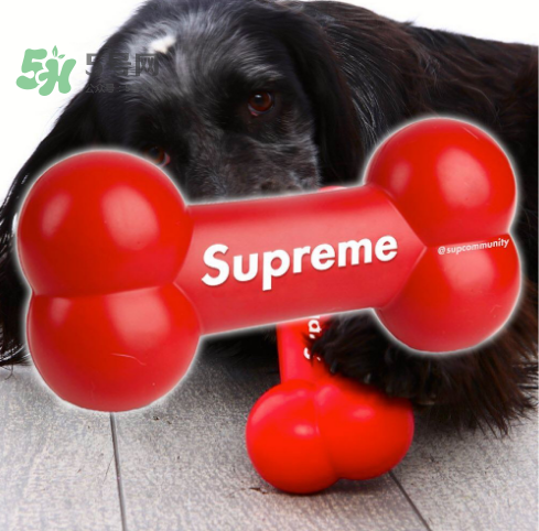 supreme狗骨頭玩具是真的嗎？supreme骨頭玩具會(huì)發(fā)售嗎？