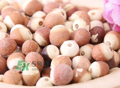 雞頭米是涼性的嗎？雞頭米是哪里的特產(chǎn)