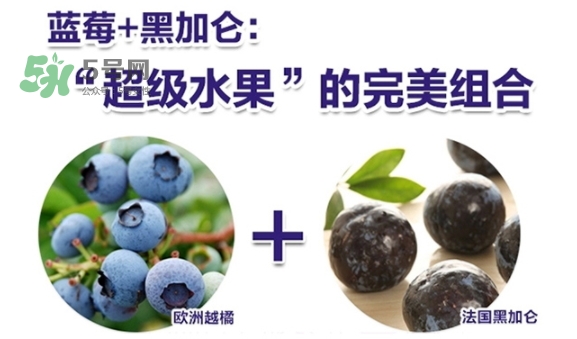 fancl藍(lán)莓護(hù)眼怎么樣？fancl藍(lán)莓護(hù)眼和pola護(hù)眼哪個(gè)好