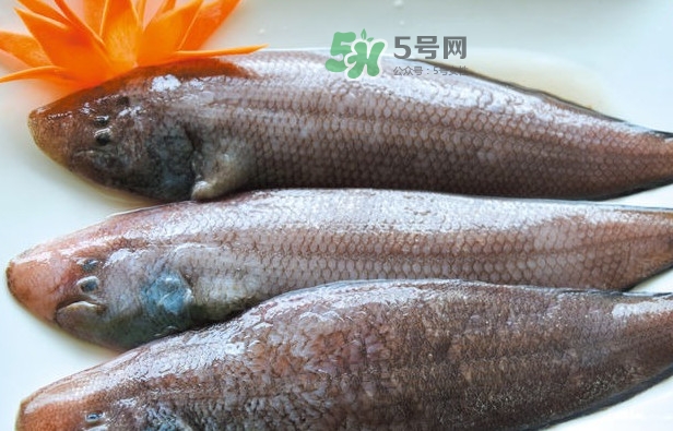 龍利魚怎么做給寶寶吃？龍利魚怎么處理