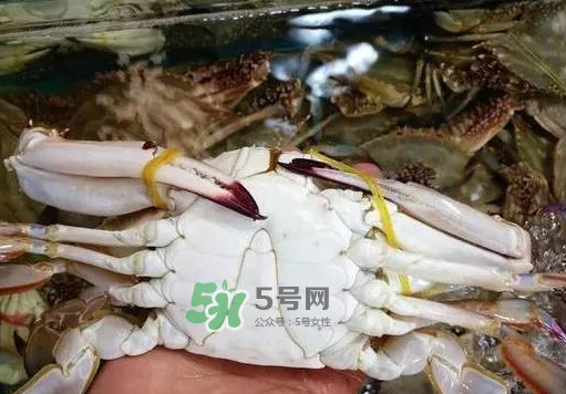 梭子蟹放冷藏還是冷凍？梭子蟹可以放速凍嗎？