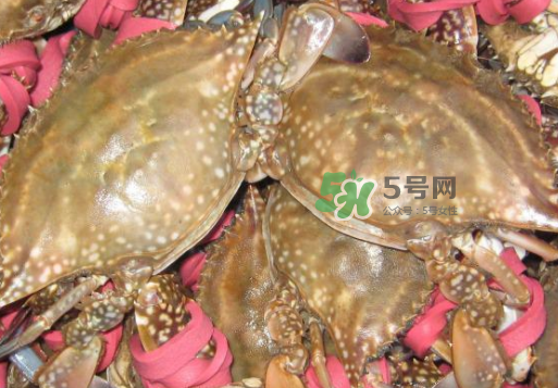 梭子蟹放冷藏還是冷凍？梭子蟹可以放速凍嗎？