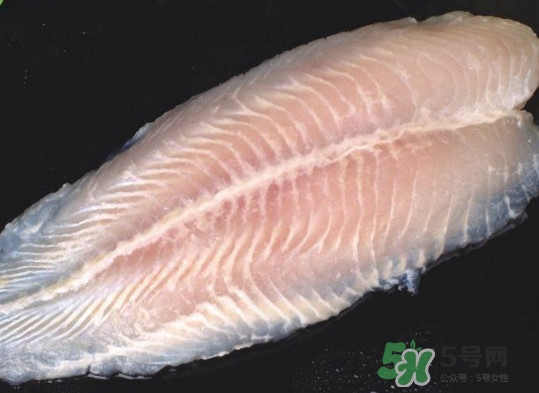 龍利魚有刺嗎？龍利魚有魚鱗嗎