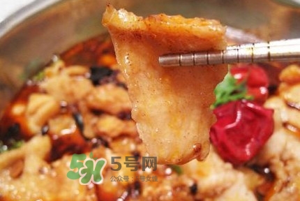 龍利魚有寄生蟲嗎？龍利魚有假的嗎