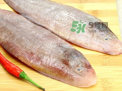 寶寶多大能吃龍利魚？幾個月的寶寶可以吃龍利魚