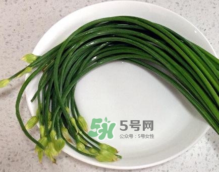 吃韭菜苔回奶嗎？韭菜苔和蒜苗是一回事嗎