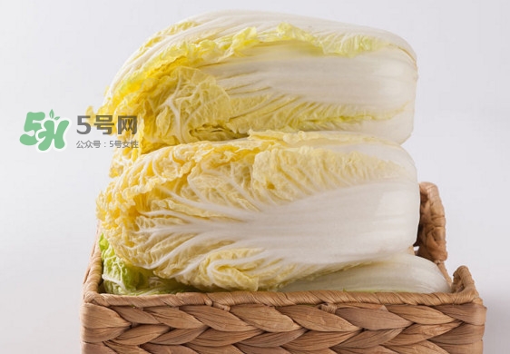 娃娃菜是什么季節(jié)的？娃娃菜什么時(shí)候種植