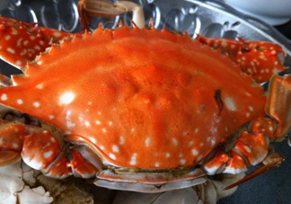 梭子蟹可以清蒸嗎？梭子蟹蒸還是煮？