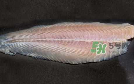 龍利魚是淡水魚嗎？龍利魚是巴沙魚嗎