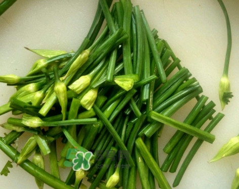 韭菜苔孕婦能吃嗎？孕婦可以吃韭菜苔嗎