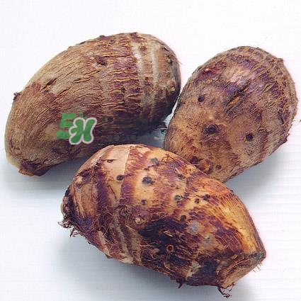 中秋節(jié)為什么吃芋頭？中秋節(jié)吃芋頭的來源
