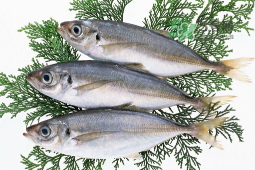 龍利魚(yú)是鱈魚(yú)嗎？龍利魚(yú)和鱈魚(yú)哪個(gè)好吃