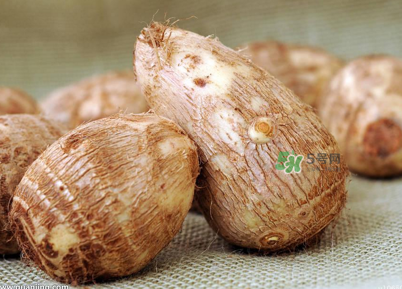 減肥可以吃芋頭嗎？芋頭熱量高嗎？