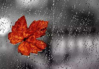 2017處暑會(huì)下雨嗎？處暑會(huì)下雨好嗎？