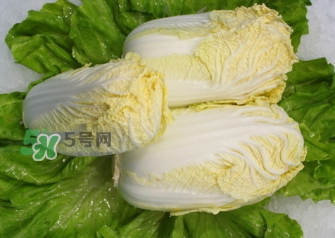 娃娃菜可以放冰箱嗎？娃娃菜可以放多久