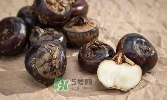野荸薺是什么樣子的？野荸薺的營養(yǎng)價值
