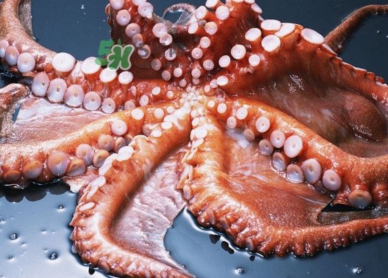 章魚(yú)有幾個(gè)心臟？章魚(yú)有幾條腿