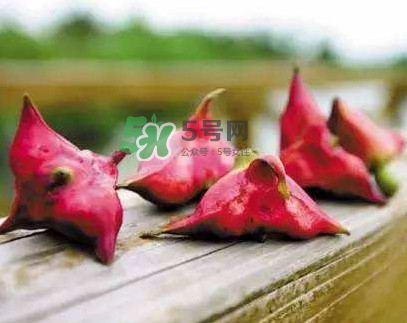 紅菱什么時(shí)候上市？什么時(shí)候采紅菱
