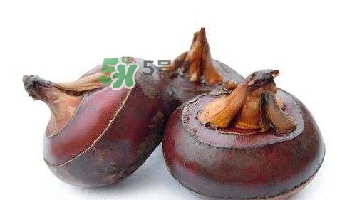吃荸薺有什么好處？吃荸薺的禁忌