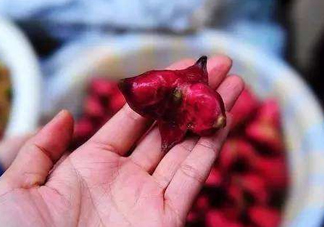 紅菱怎么吃？吃紅菱有什么好處？