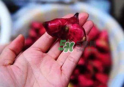 紅菱怎么吃？吃紅菱有什么好處？