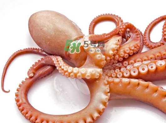 章魚(yú)有幾個(gè)心臟？章魚(yú)有幾條腿