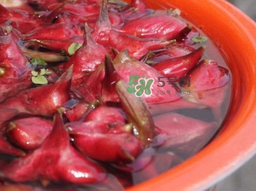 紅菱什么時(shí)候上市？什么時(shí)候采紅菱