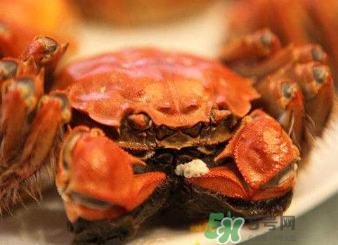 太湖蟹什么時(shí)候上市？太湖蟹幾月份有