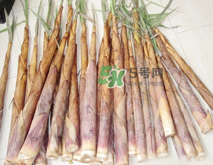苦筍是什么竹子？苦筍是發(fā)物嗎