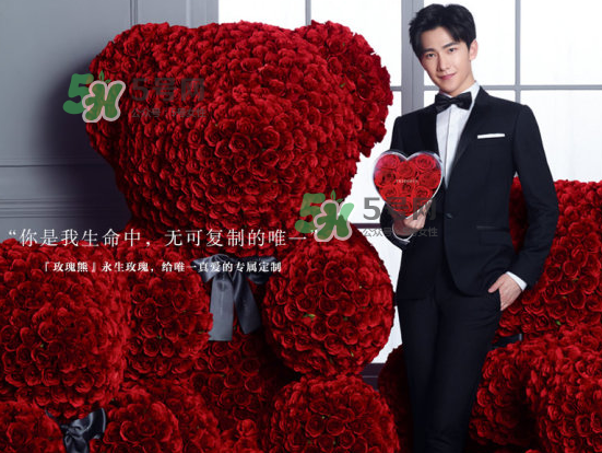 roseonly熊怎么樣？roseonly玫瑰熊好看嗎？
