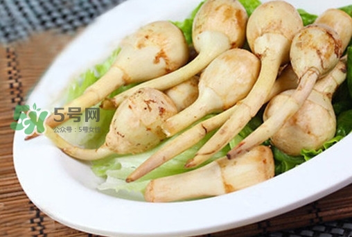慈姑什么時候種植？慈姑什么時候上市