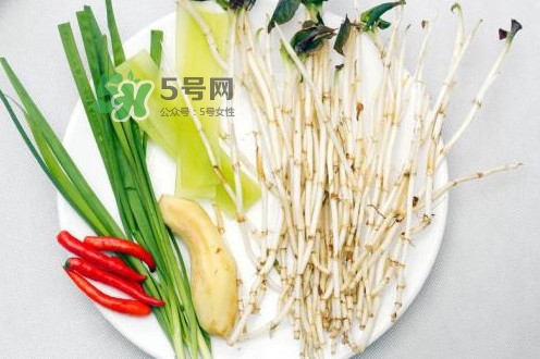 魚腥草用開水泡可以嗎？魚腥草用量多少克？