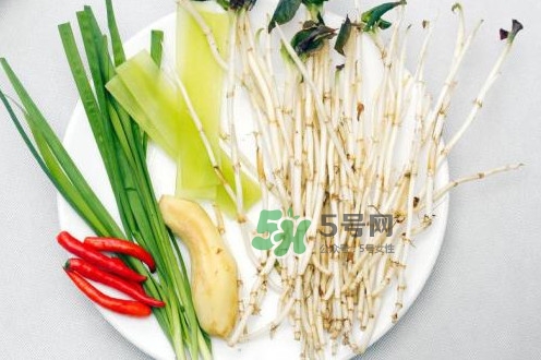 魚腥草什么季節(jié)有？魚腥草什么時(shí)候采摘最好