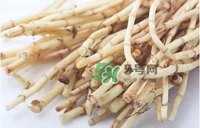 魚腥草什么季節(jié)吃最好？魚腥草什么時(shí)候吃最好