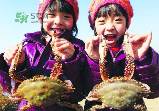 青島梭子蟹多少錢一斤？青島梭子蟹什么時候上市？