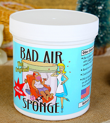 Bad Air Sponge有用嗎？Bad Air Sponge效果如何？