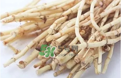 折耳根怎么清洗？折耳根如何冼才干凈