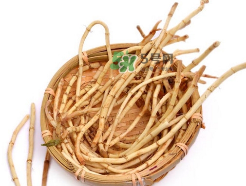 折耳根有毒嗎？折耳根有毒吃了會傷腎？