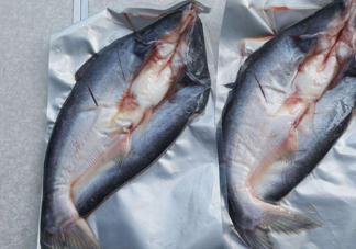 巴沙魚到底能不能吃？吃巴沙魚有什么危害嗎