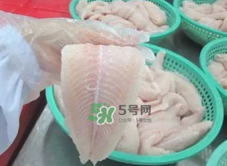 巴沙魚有刺嗎？巴沙魚有寄生蟲嗎