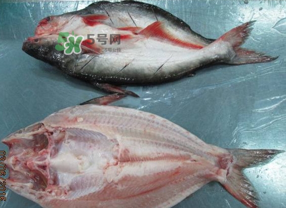 巴沙魚是鯰魚嗎？巴沙魚是海魚嗎