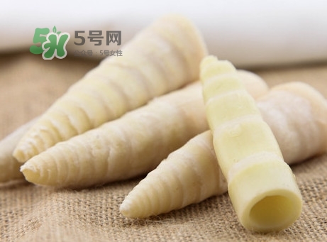 苦筍是什么竹子？苦筍是發(fā)物嗎