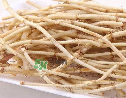 經(jīng)常吃折耳根有什么好處？折耳根的用法用量